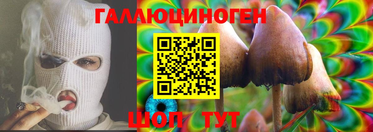Вязьма  Псилоцибиновые грибы Cubensis  Вход с VPN 