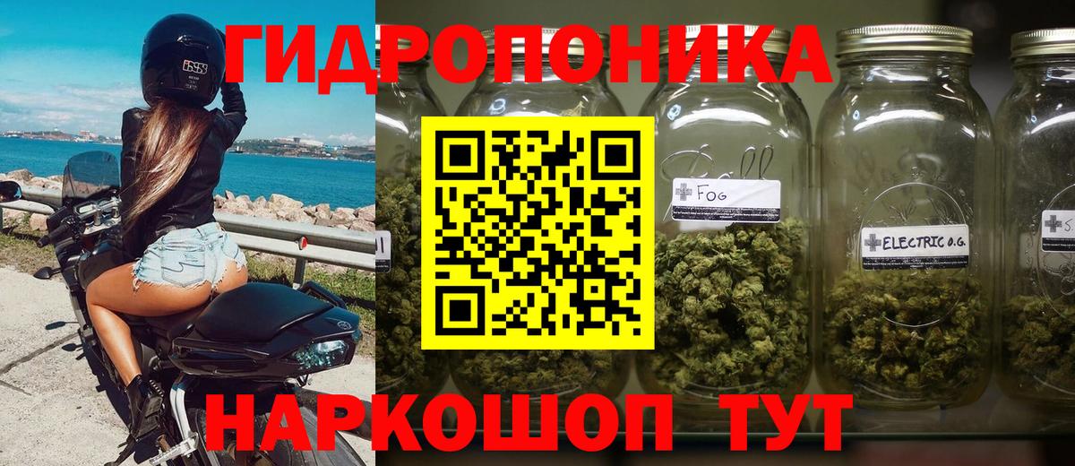 Каннабис планчик Вязьма